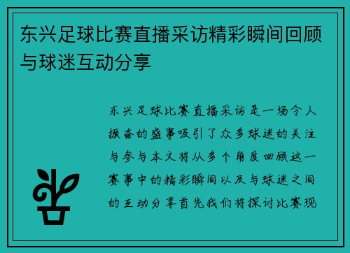 东兴足球比赛直播采访精彩瞬间回顾与球迷互动分享
